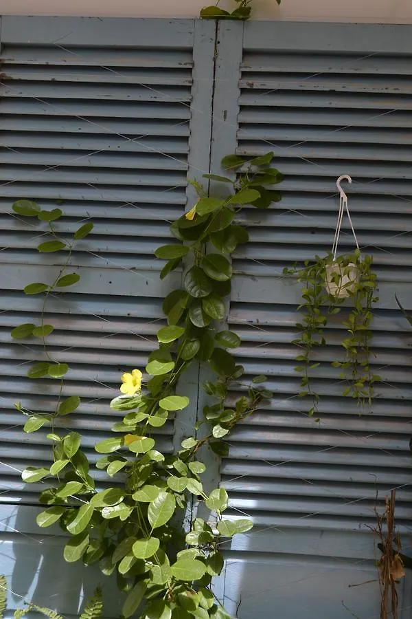 נה טראנג Kokoro Home וייטנאם