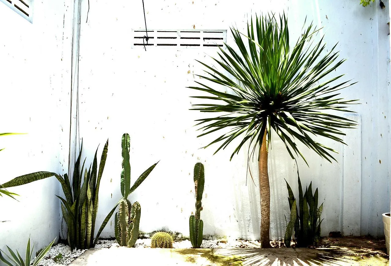 בית אירוח נה טראנג Kokoro Home