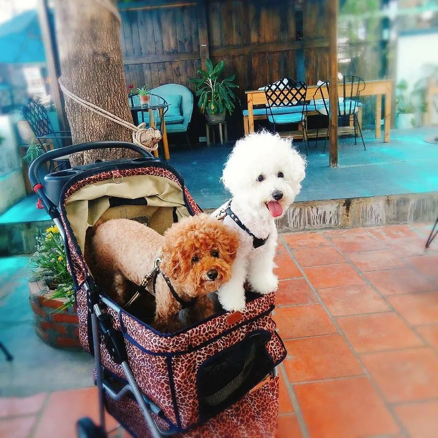 Kokoro Home Nha Trang